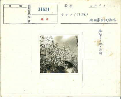 戴帽人群云天下高植间.jpg
