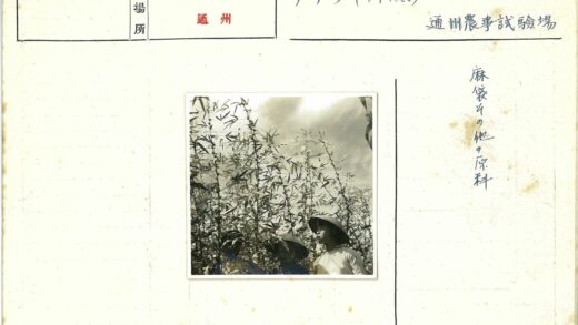 戴帽人群云天下高植间.jpg