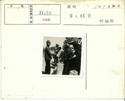 戴帽子人群在篮子树下聊天.jpg