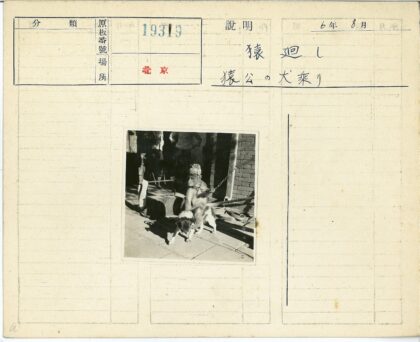 戴帽猴子牵狗室外砖地.jpg