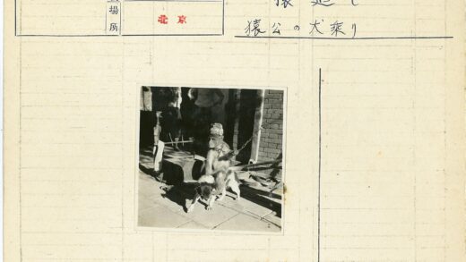戴帽猴子牵狗室外砖地.jpg