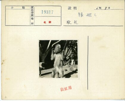 戴帽猴子牵链与狗户外合影.jpg