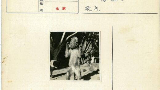 戴帽猴子牵链与狗户外合影.jpg