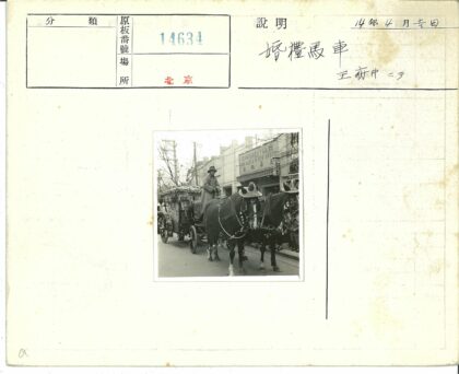 戴帽马匹拉车穿行街道.jpg
