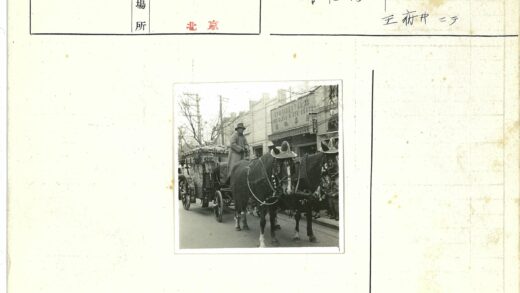 戴帽马匹拉车穿行街道.jpg