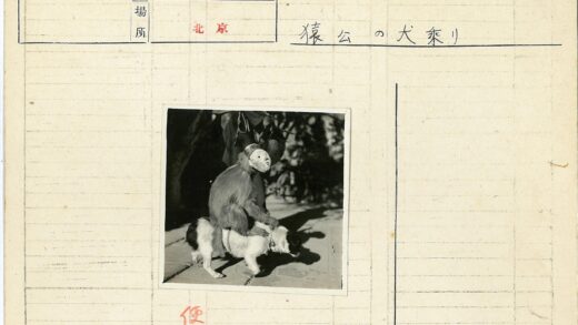 戴面具猴子骑小狗户外照.jpg