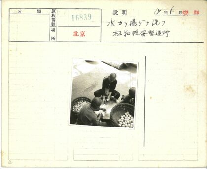 户外三人提篮装鸡蛋.jpg