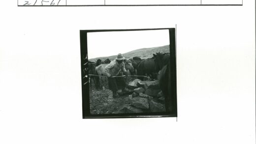 户外人与马群岩石地互动.jpg