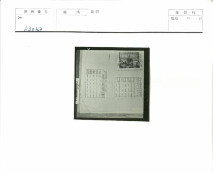 户外人物与树木背景照.jpg