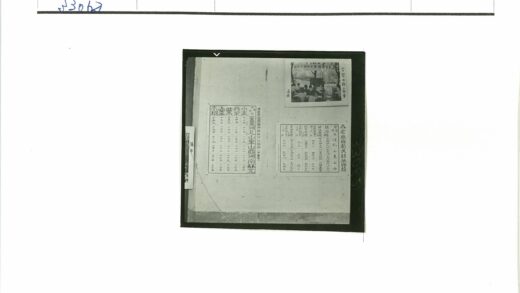 户外人物与树木背景照.jpg
