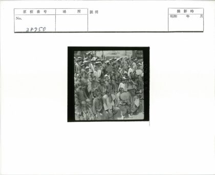 户外人群聚会树下.jpg