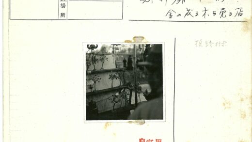户外分层架微型树雕塑特写.jpg