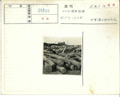 户外原木堆放工业场景.jpg