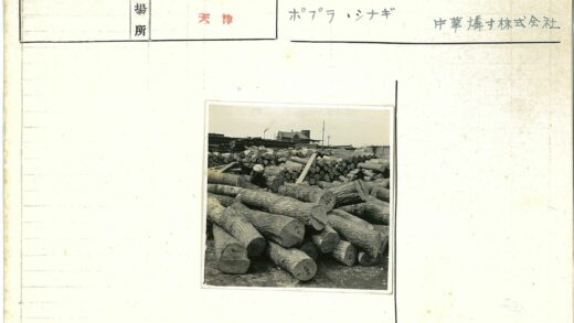 户外原木堆放工业场景.jpg