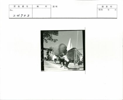 户外大球旗帜活动.jpg
