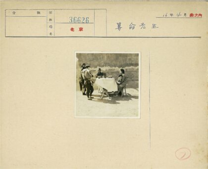 户外家庭聚会温馨瞬间.jpg