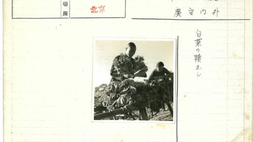 户外工作者搬运树叶.jpg