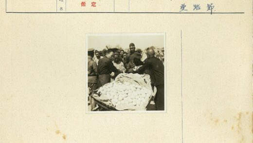 户外市场橙子丰收场景.jpg
