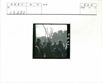 户外建筑与观赏植物合影.jpg
