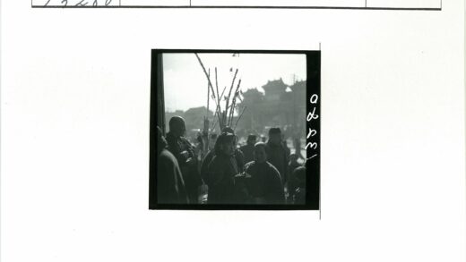 户外建筑与观赏植物合影.jpg