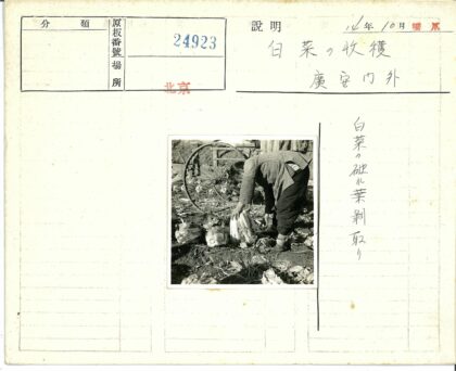 户外拾菜与破车轮.jpg