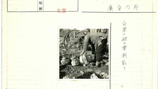 户外拾菜与破车轮.jpg