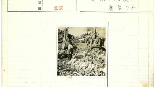 户外整理蔬菜劳作场景.jpg