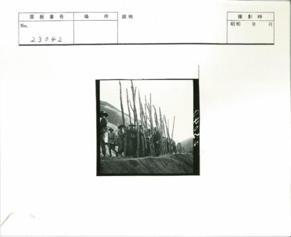 户外木杆与丘陵景观.jpg
