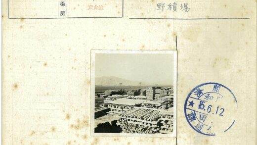 户外木材堆放与山脉风景.jpg