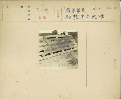 户外木架晾晒大型兽皮建筑背景.jpg