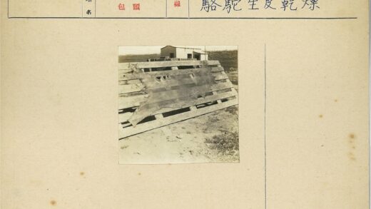 户外木架晾晒大型兽皮建筑背景.jpg