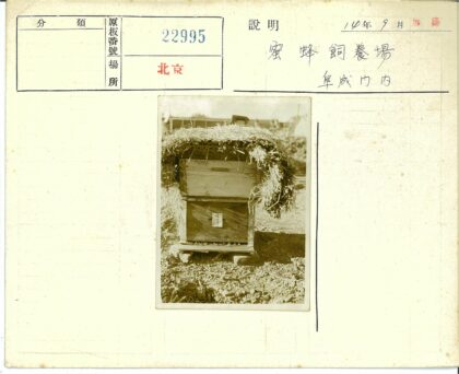 户外木质蜂巢与稻草覆盖.jpg