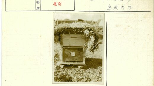 户外木质蜂巢与稻草覆盖.jpg