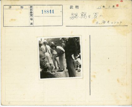 户外树下读书女人与人群.jpg