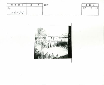 户外树前人群列队与观众合影.jpg