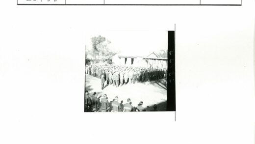 户外树前人群列队与观众合影.jpg