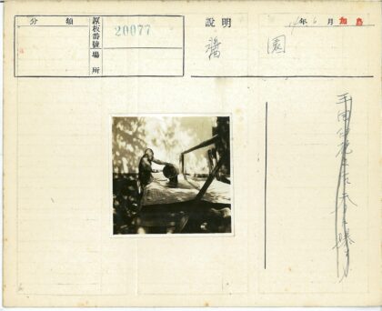 户外树叶影中倒液体.jpg