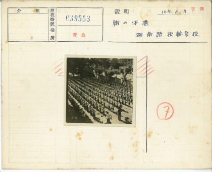 户外树荫下集体运动.jpg