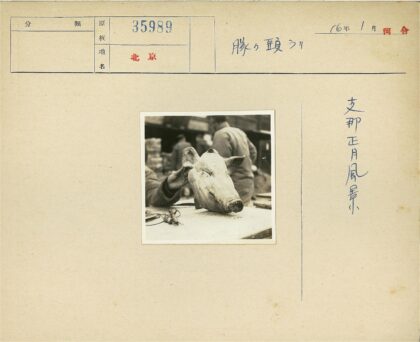 户外桌上猪头特写.jpg