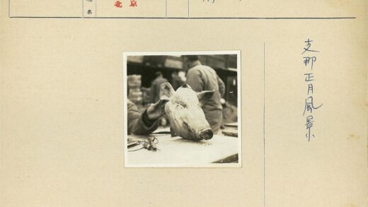 户外桌上猪头特写.jpg