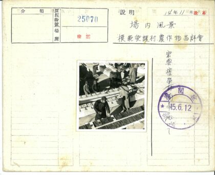 户外检查托盘物品.jpg