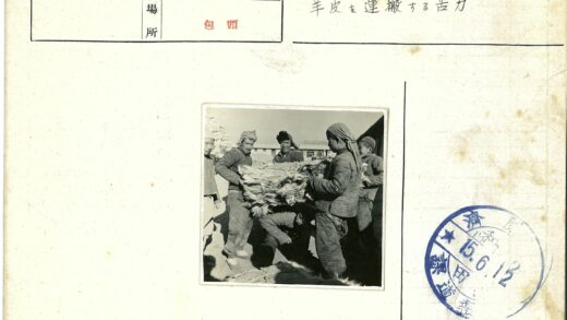 户外检查毛皮工作场景.jpg
