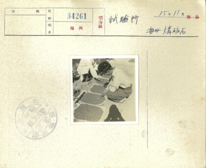 户外检查泥土托盘工作照.jpg