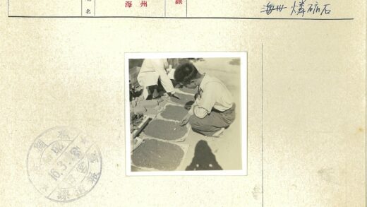 户外检查泥土托盘工作照.jpg