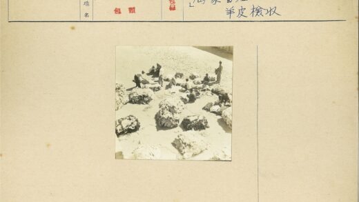 户外棉花劳作场景.jpg