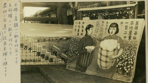户外棉花劳作海报展示.jpg