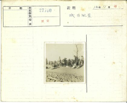 户外沙地聚会与孤树.jpg