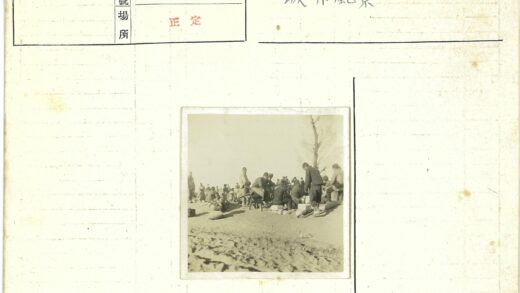 户外沙地聚会与孤树.jpg