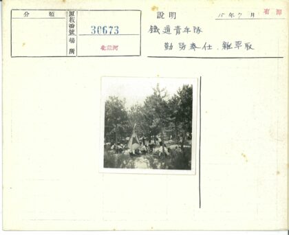 户外活动森林聚会旗帜展示.jpg