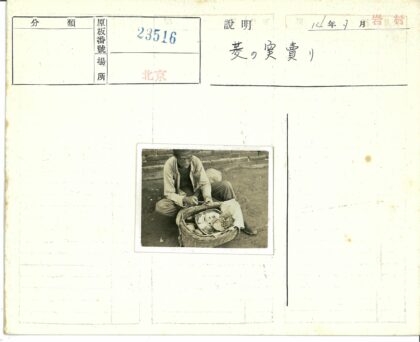户外清理篮中物品.jpg